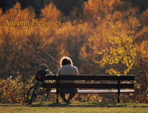 Autumn Pleasures free digital signage content