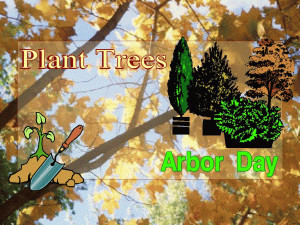Arbor Day free digital signage content