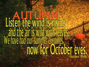 Autumn Wind free digital signage content
