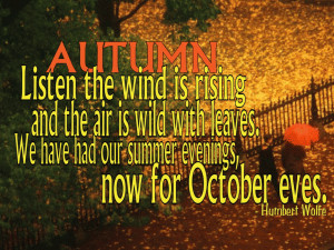 Autumn Wind free digital signage content