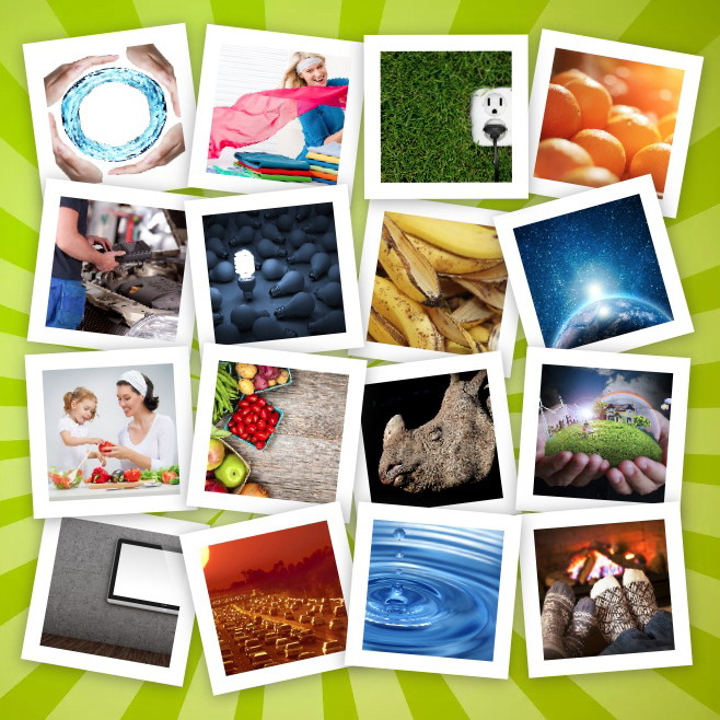 photos used by environmental respnsibility category