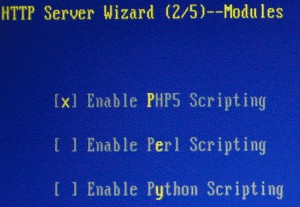 enable php scripting